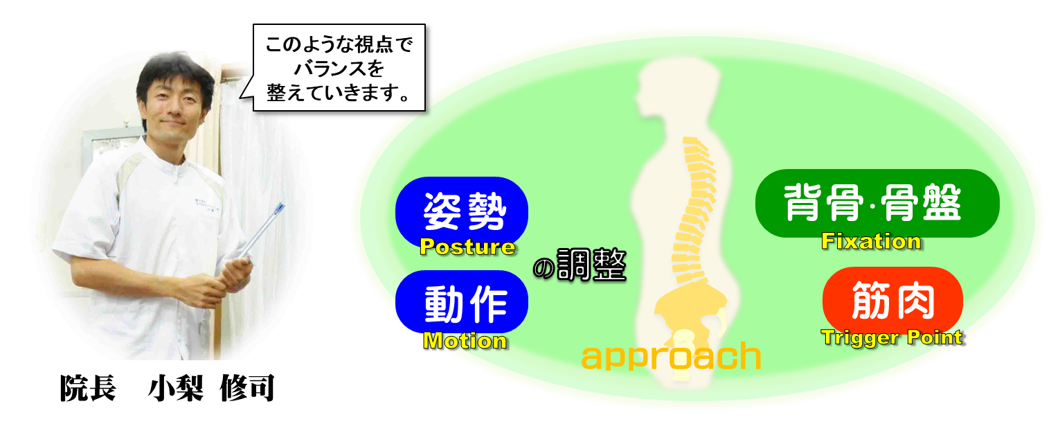 筋肉・背骨・姿勢の調整／富士見台カイロプラクティックセンター