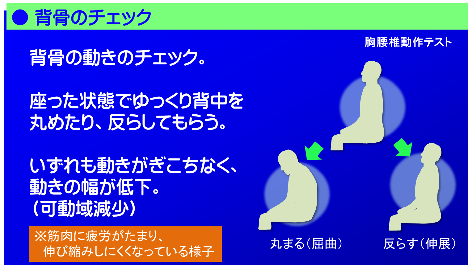 背骨（脊柱）の動きをチェック。動作テスト