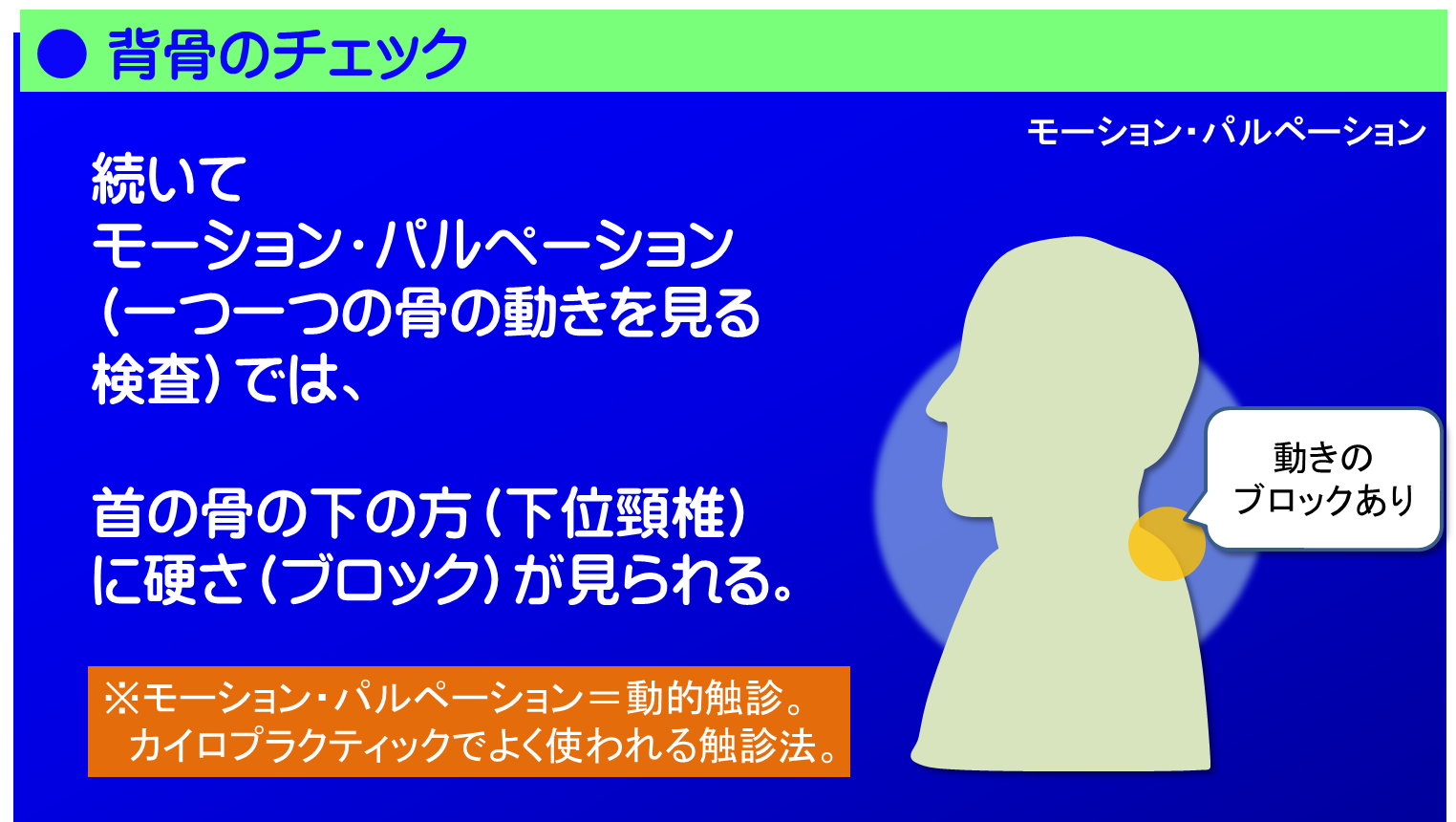 続いてモーション・パルペーションという一つ一つの骨の動きを見る検査では、首の骨の下の方（下位頸椎）に硬さ（ブロック）が見られました。