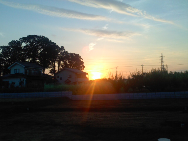 今朝の朝日。すがすがしいです。