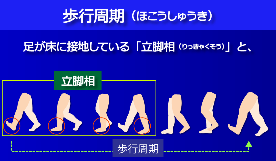 「立脚相（りっきゃくそう）」／富士見台カイロプラクティックセンター