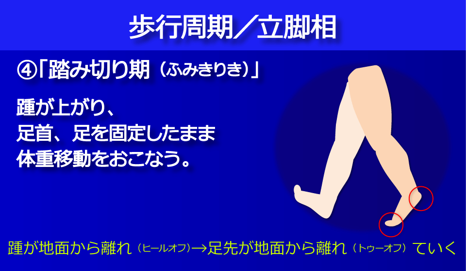 「踏み切り期」（ふみきりき）」／富士見台カイロプラクティックセンター