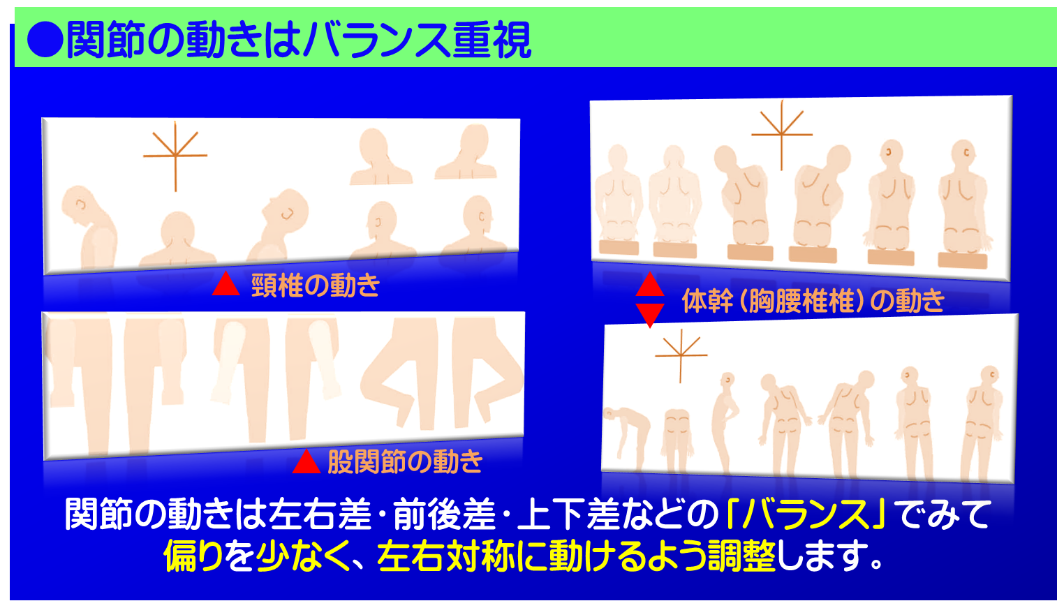 関節の動きは左右差・前後差・上下差などの「バランス」でみて偏りを少なく、左右対称に動けるよう調整します／富士見台カイロプラクティックセンター